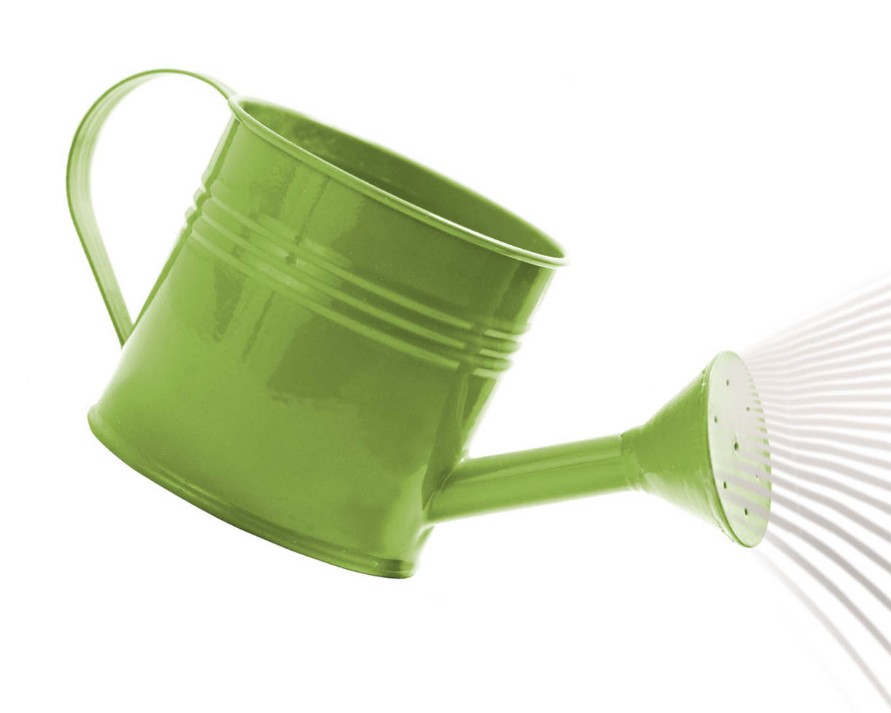 Watering can in a garden